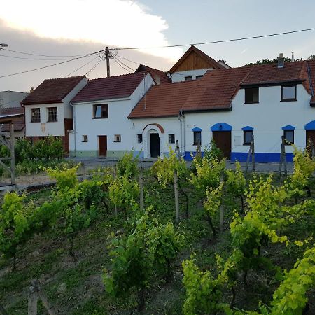 Vinny Sklep Kravi Hora Bořetice Exterior foto