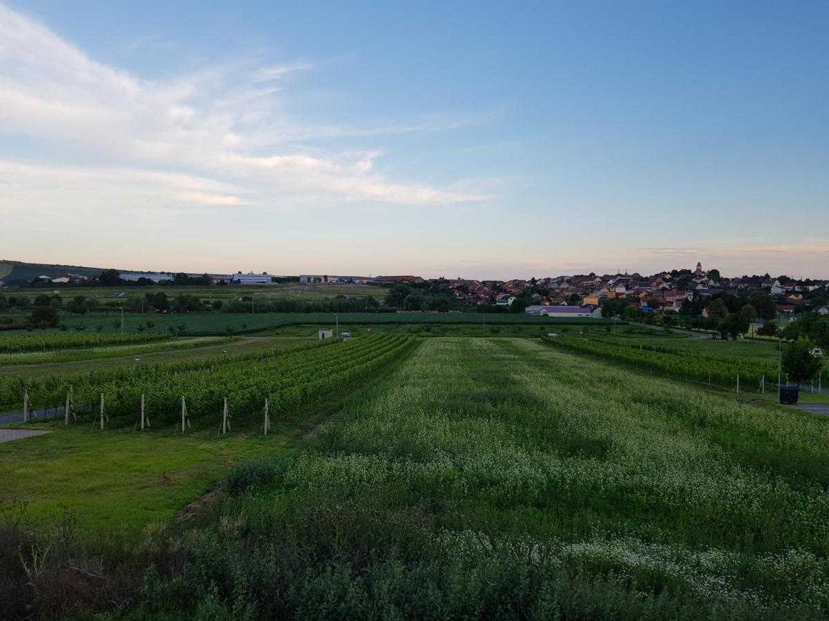 Vinny Sklep Kravi Hora Bořetice Exterior foto